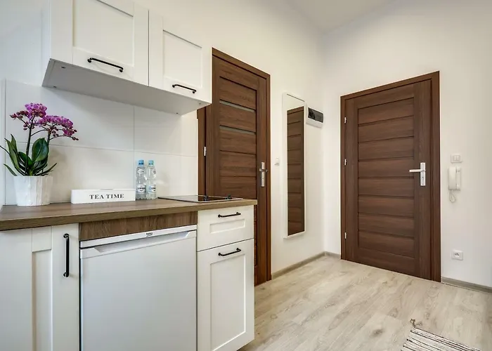 Kato Moniuszki Katovice